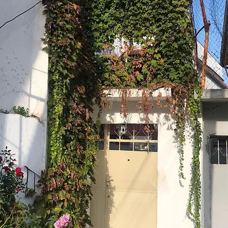 Apartment House Of Leaves Berat